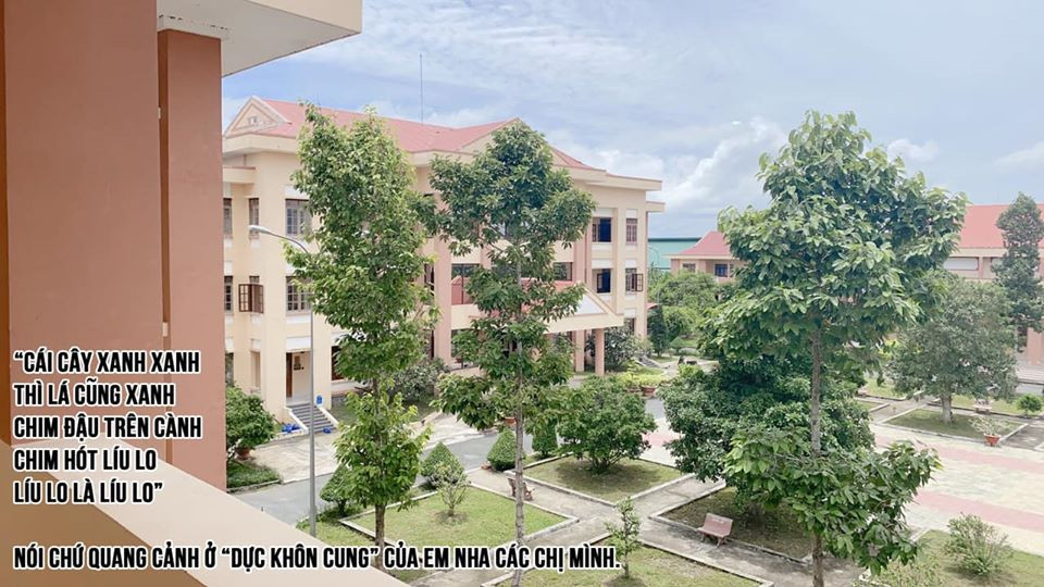 Cach ly khi tu Indonesia ve nuoc, Minh Tu: “Toi mang on To quoc“-Hinh-2