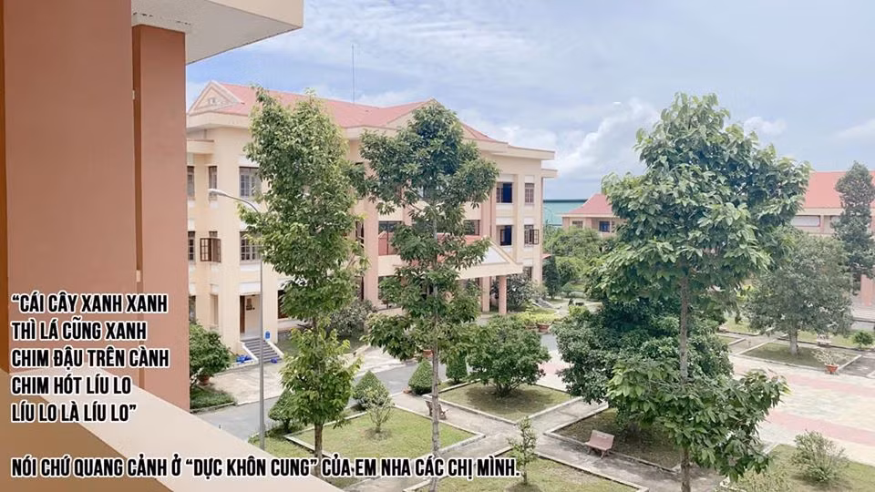 Cach ly khi tu Indonesia ve nuoc, Minh Tu: “Toi mang on To quoc“-Hinh-2