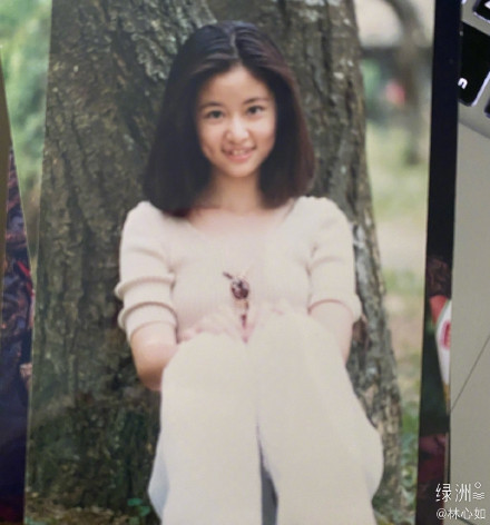 Trong những hình ảnh xưa cũ của Lâm Tâm Như, cô để mặt mộc cùng mái tóc bồng bềnh, thậm chí hàm răng còn đôi chút khấp khểnh do chưa can thiệp chỉnh nha. Nhiều khán giả bày tỏ ghen tị với vẻ đẹp từ nhỏ của Lâm Tâm Như, đồng thời cho rằng đây là khoảng thời gian đỉnh cao nhan sắc của nàng "Hạ Tử Vy". Đôi mắt to tròn thuần khiết cùng lúm má đồng tiền ngọt ngào của Lâm Tâm Như vẫn in đậm dấu ấn trong lòng người hâm mộ.