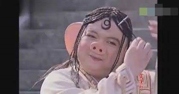 Nhiều người đánh giá tạo hình nhân vật của Tạ Ninh quá khoa trương và có chút không giống với Trư Bát Giới. Còn có ý kiến cho rằng trông ông giống như một “yêu quái" đáng yêu.