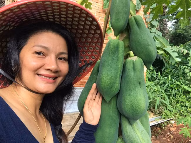 Những ngày chống dịch Covid-19, chị về khu vườn ở vùng ngoại ô tỉnh Bình Phước rộng 5.000 m2 để cải tạo, thu hoạch trái cây.