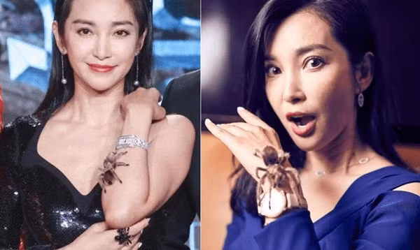 Khác với những sao Hoa ngữ, thú cưng yêu thích của Lý Băng Băng là nhện. Thậm chí, nữ diễn viên còn từng mang chú nhện cưng của mình đi dự sự kiện lớn.