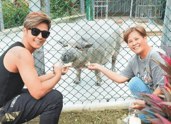 Thú cưng của sao Hoa ngữ La Chí Tường là một chú lợn rừng to lớn nặng hơn 200 kg. Ban đầu, La Chí Tường muốn mua một con lợn nhỏ về nuôi nhưng bị ông chủ lừa, con lợn ngày càng lớn, lông chuyển từ hồng sang đen và răng nanh mọc to. Tuy nhiên, nam diễn viên vẫn quyết định nuôi chú lợn rừng này, thậm chí còn đưa đi tắm, mát xa.