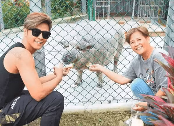 Thú cưng của sao Hoa ngữ La Chí Tường là một chú lợn rừng to lớn nặng hơn 200 kg. Ban đầu, La Chí Tường muốn mua một con lợn nhỏ về nuôi nhưng bị ông chủ lừa, con lợn ngày càng lớn, lông chuyển từ hồng sang đen và răng nanh mọc to. Tuy nhiên, nam diễn viên vẫn quyết định nuôi chú lợn rừng này, thậm chí còn đưa đi tắm, mát xa.