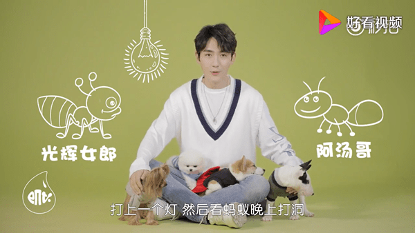 Chu Nhất Long khiến khán giả bất ngờ khi khoe sở thích nuôi thú cưng của mình trên sóng truyền hình. Thú cưng "có một không hai" này chính là một bầy kiến. Nam diễn viên chia sẻ, anh còn đặt tên cho từng chú kiến và thích xem từng hoạt động của chúng.