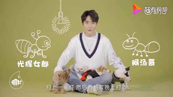 Chu Nhất Long khiến khán giả bất ngờ khi khoe sở thích nuôi thú cưng của mình trên sóng truyền hình. Thú cưng "có một không hai" này chính là một bầy kiến. Nam diễn viên chia sẻ, anh còn đặt tên cho từng chú kiến và thích xem từng hoạt động của chúng.