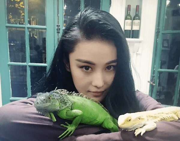 Trương Hinh Dư có sở thích nuôi thằn lằn. Nữ diễn viên còn cho chúng bò lên tay, lên vai và cho chụp ảnh cùng.