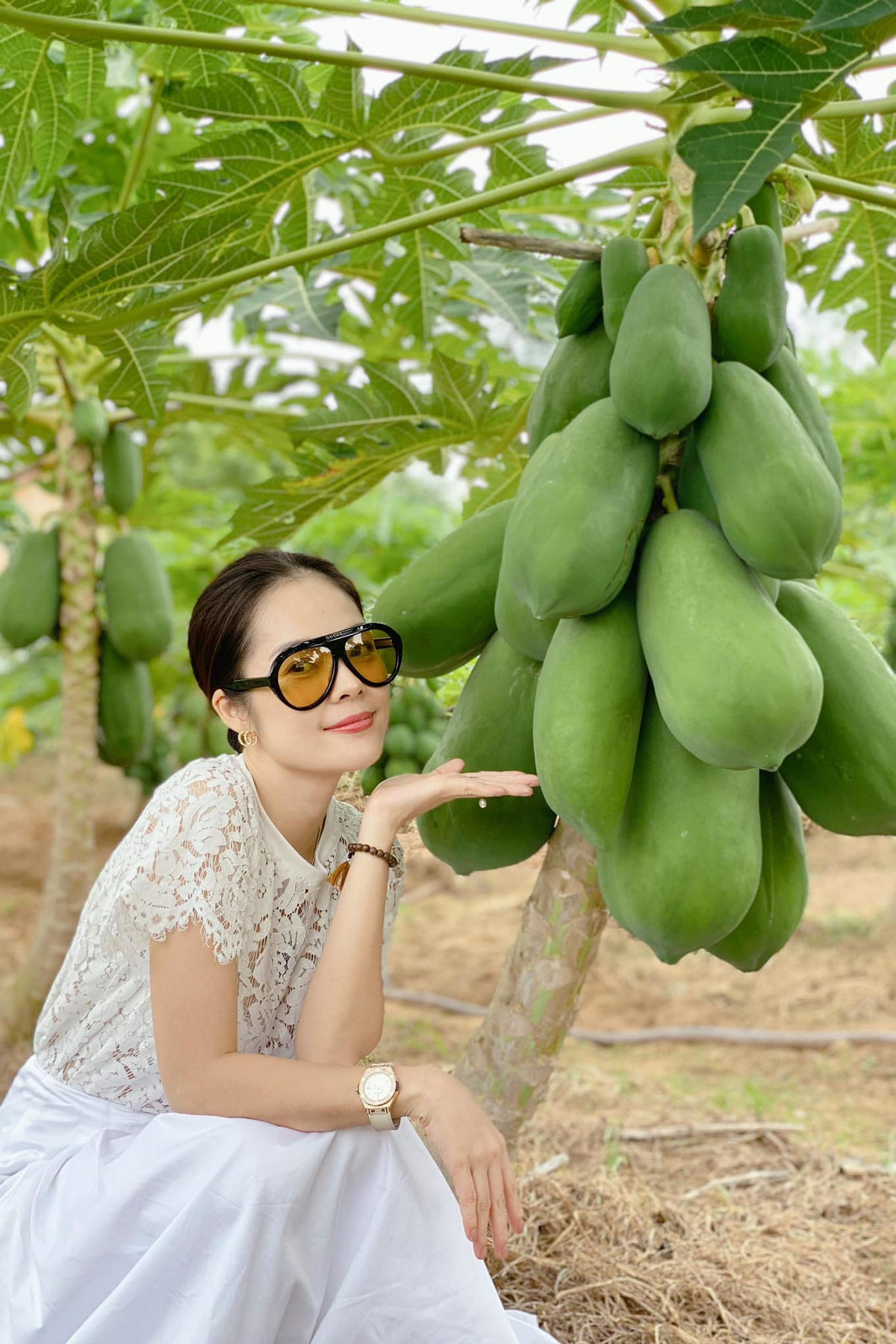 Diễn viên Dương Cẩm Lynh chụp ảnh bên vườn đu đủ sai trĩu quả.