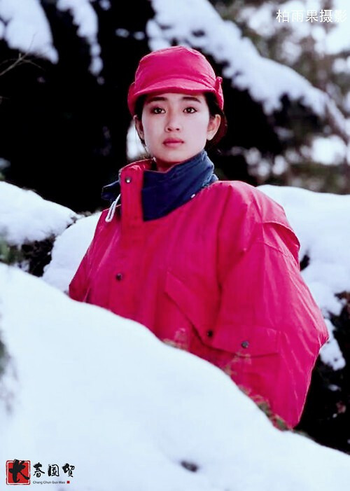 Củng Lợi sinh năm 1965, là con gái út trong một gia đình có truyền thống học hành tại thành phố Thẩm Dương, Liêu Ninh, Trung Quốc.