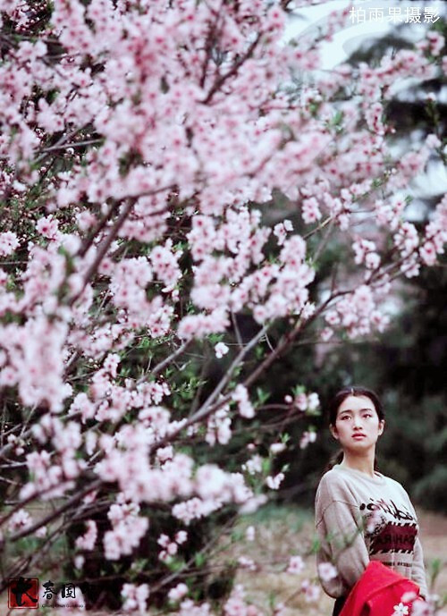 Những phim nổi tiếng của Củng Lợi có thể kể đến "Cao lương đỏ", "Cúc Đậu", "Thu Cúc đi kiện", "Đèn lồng đỏ treo cao", "Hồi ức một geisha", "Hoàng Kim Giáp", "Đường về nhà"...