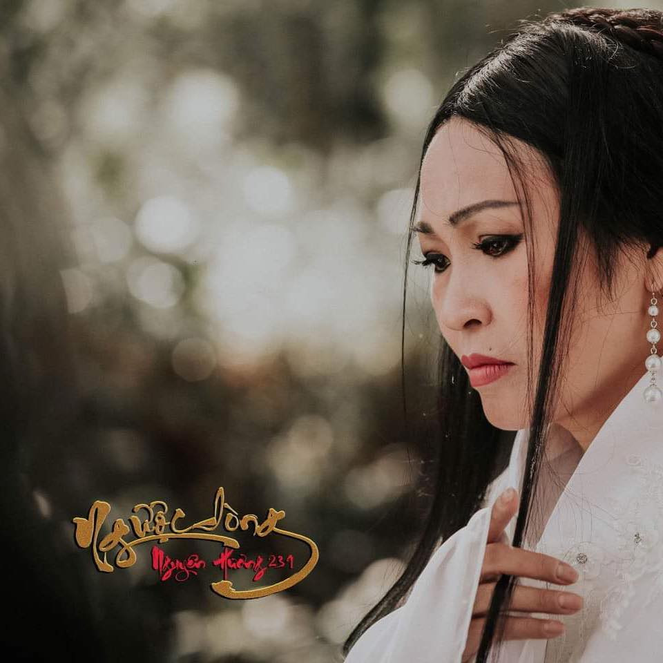 Phuong Thanh tuyen bo dong Facebook: “Toi guc nga vi ho lam ton thuong”.-Hinh-2