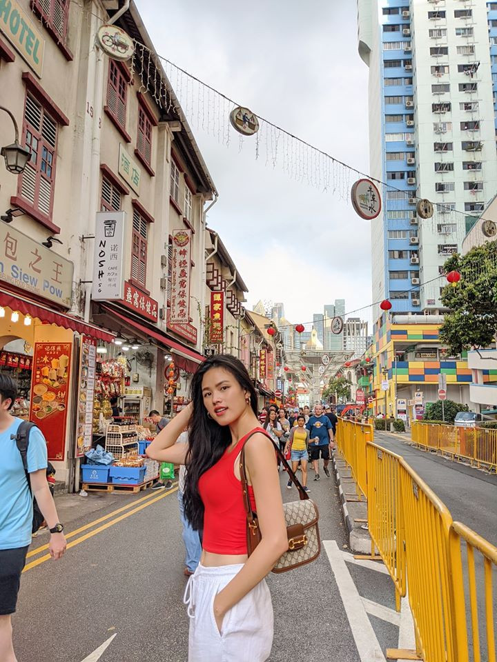 Không lâu sau đó, cô sang Mỹ sống và phát triển sự nghiệp.