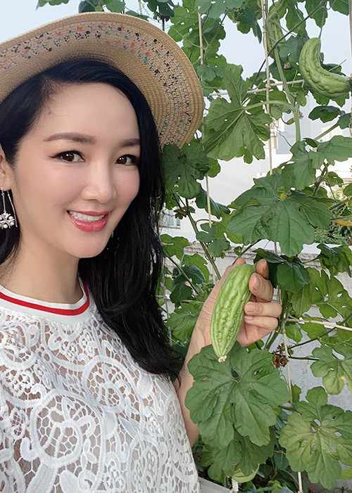 Giáng My khoe vườn rau xanh ngắt trong nhà. Hoa hậu cho biết cô từng vài lần chuyển nhà nhưng ở đâu cũng bố trí góc trồng rau, hoa cảnh để không gian sống sinh động, gần gũi với thiên nhiên.
