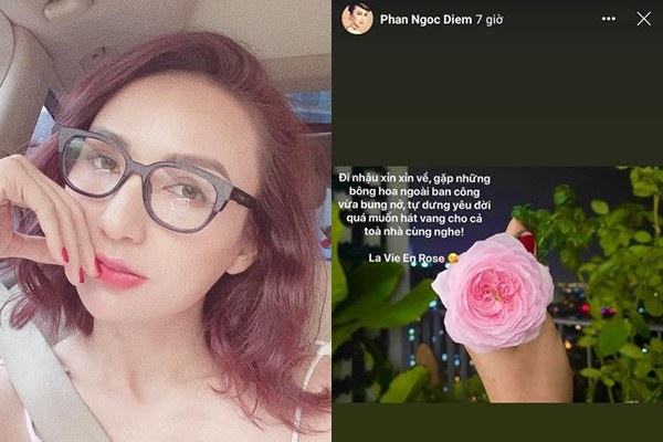 Quang Vinh không phải nghệ sĩ duy nhất từng có phút giây đánh mất hình ảnh vì hơi men, nhiều sao Việt nhậu say cũng có hành động mất kiểm soát. Gần đây nhất là hoa hậu Ngọc Diễm. Khác với Quang Vinh, người đẹp họ Phan tế nhị hơn khi chỉ tiết lộ bằng lời chứ không có hình ảnh minh họa. Đăng bức ảnh thưởng hoa, Ngọc Diễm viết: "Đi nhậu xỉn xỉn về, gặp những bông hoa ngoài ban công vừa bung nở, tự dưng yêu đời quá muốn hát vang cho cả tòa nhà cùng nghe".