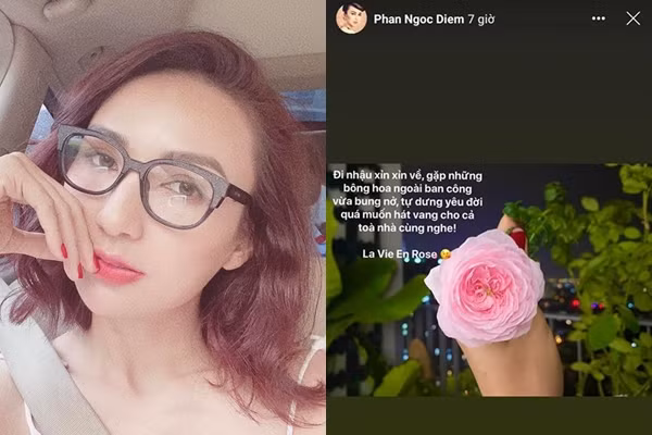 Quang Vinh không phải nghệ sĩ duy nhất từng có phút giây đánh mất hình ảnh vì hơi men, nhiều sao Việt nhậu say cũng có hành động mất kiểm soát. Gần đây nhất là hoa hậu Ngọc Diễm. Khác với Quang Vinh, người đẹp họ Phan tế nhị hơn khi chỉ tiết lộ bằng lời chứ không có hình ảnh minh họa. Đăng bức ảnh thưởng hoa, Ngọc Diễm viết: "Đi nhậu xỉn xỉn về, gặp những bông hoa ngoài ban công vừa bung nở, tự dưng yêu đời quá muốn hát vang cho cả tòa nhà cùng nghe".