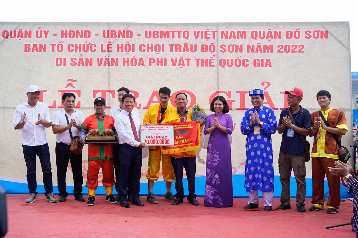 Trau choi Do Son bi nghi tiem thuoc kich thich, Ban To chuc noi gi?-Hinh-3