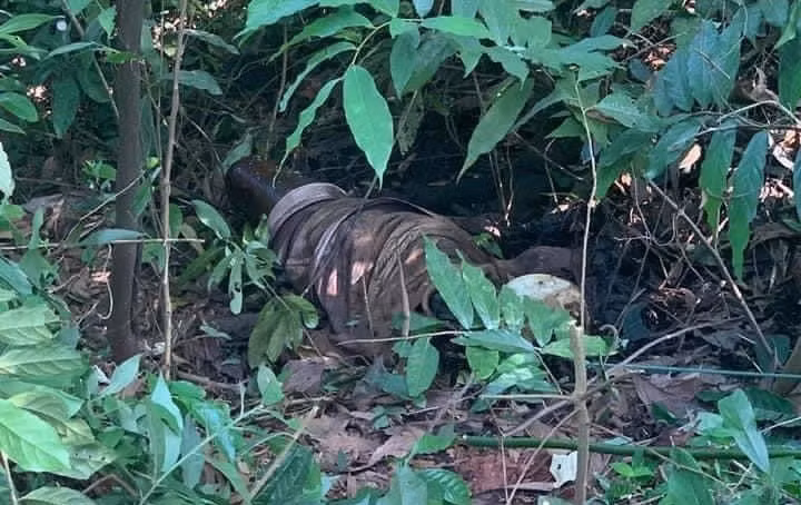 Hai Phong: Phat hien thi the nam thanh nien quan trong chan va day tren nui