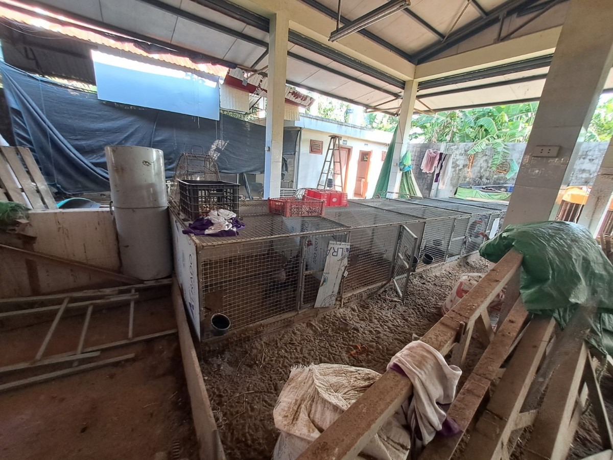 Hai Phong: Nghich ly cho moi bo hoang, dan hop cho ngoai duong-Hinh-4