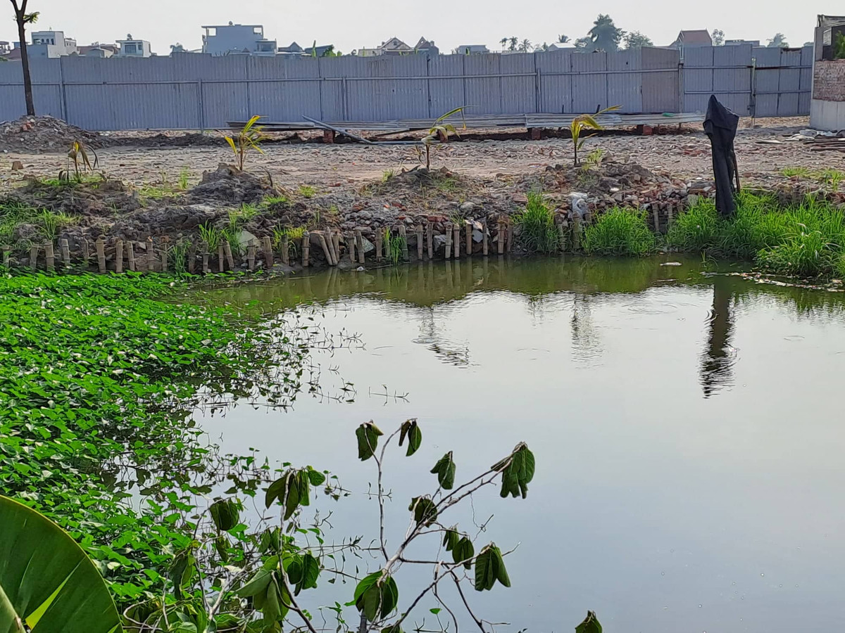 Hai Phong: Hang nghin m2 dat nong nghiep bi san lap, xay dung trai phep-Hinh-3