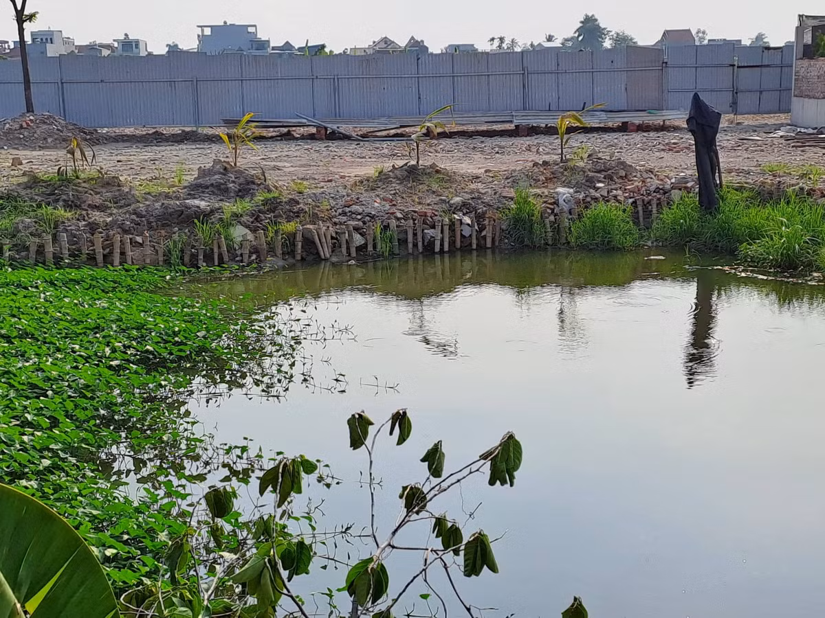 Hai Phong: Hang nghin m2 dat nong nghiep bi san lap, xay dung trai phep-Hinh-3