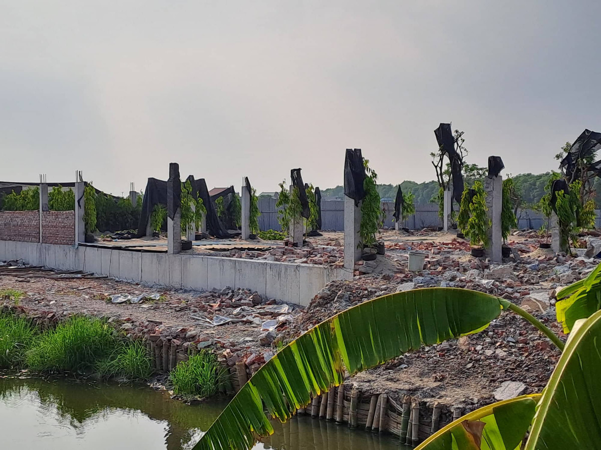 Hai Phong: Hang nghin m2 dat nong nghiep bi san lap, xay dung trai phep-Hinh-2