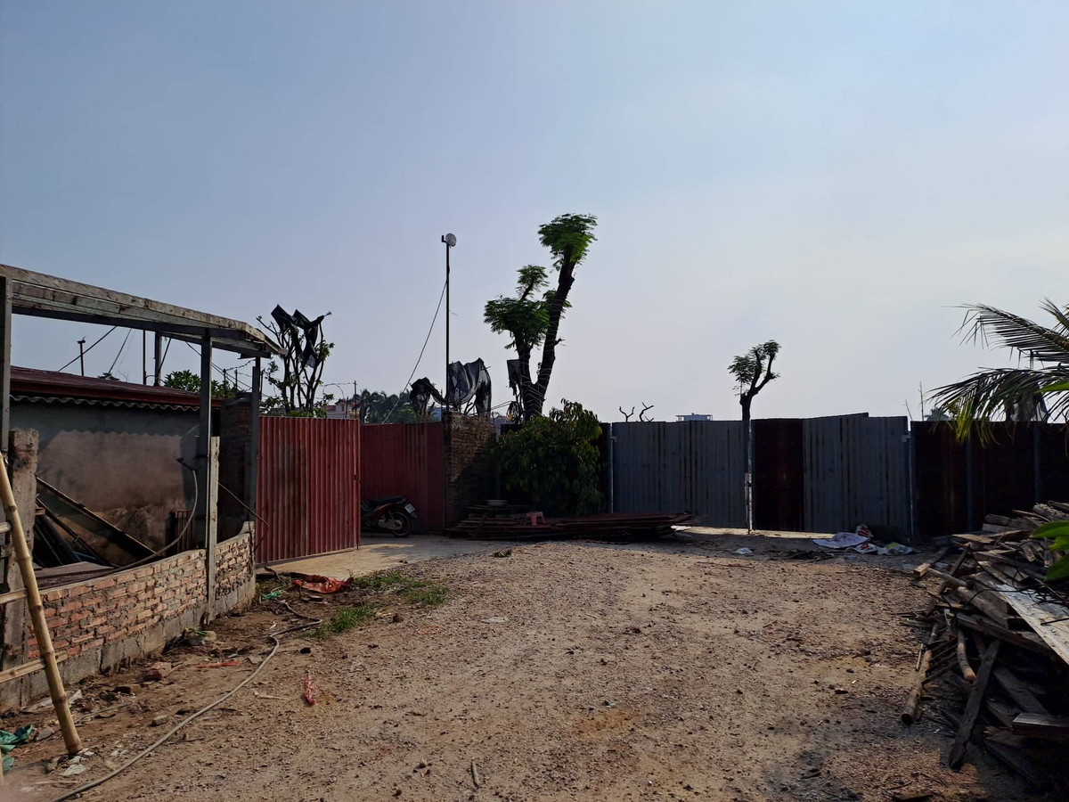 Hai Phong: Hang nghin m2 dat nong nghiep bi san lap, xay dung trai phep