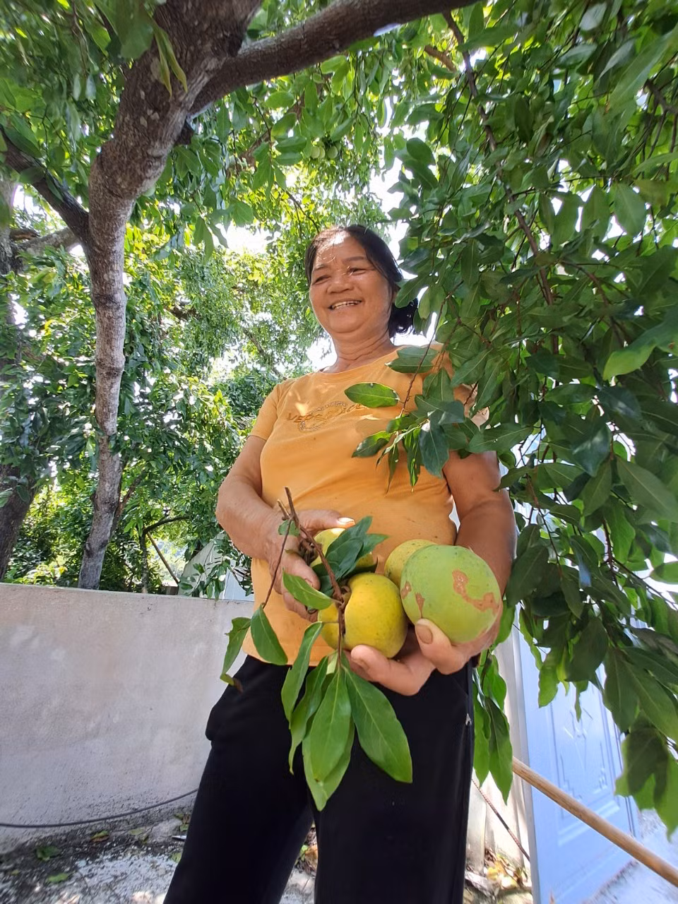 Dep nao long rang thi tram tuoi mua qua chin o Do Son-Hinh-12