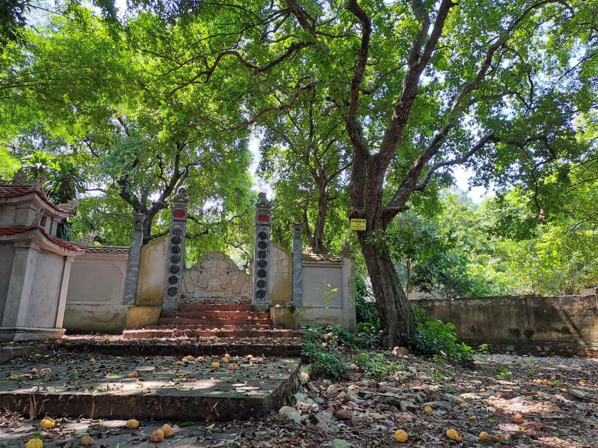 Dep nao long rang thi tram tuoi mua qua chin o Do Son-Hinh-8