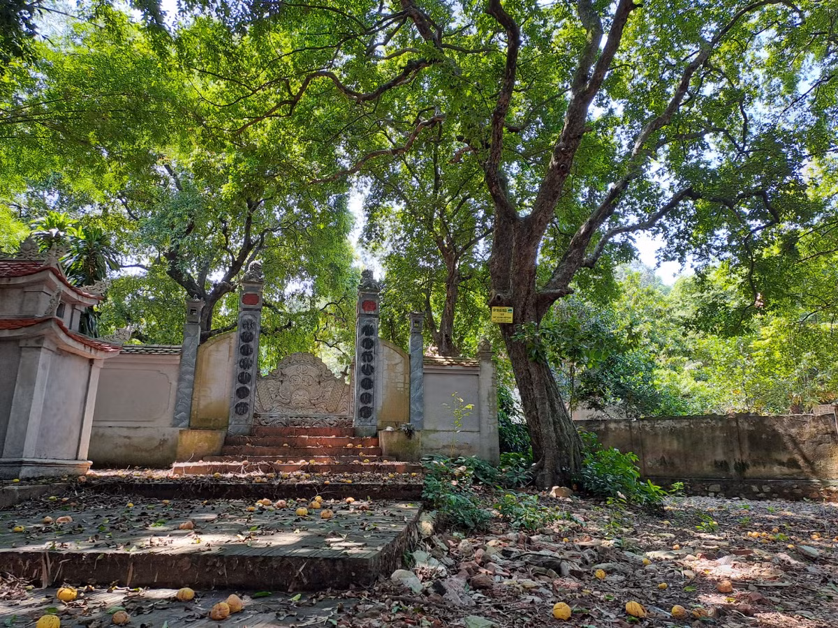 Dep nao long rang thi tram tuoi mua qua chin o Do Son-Hinh-8