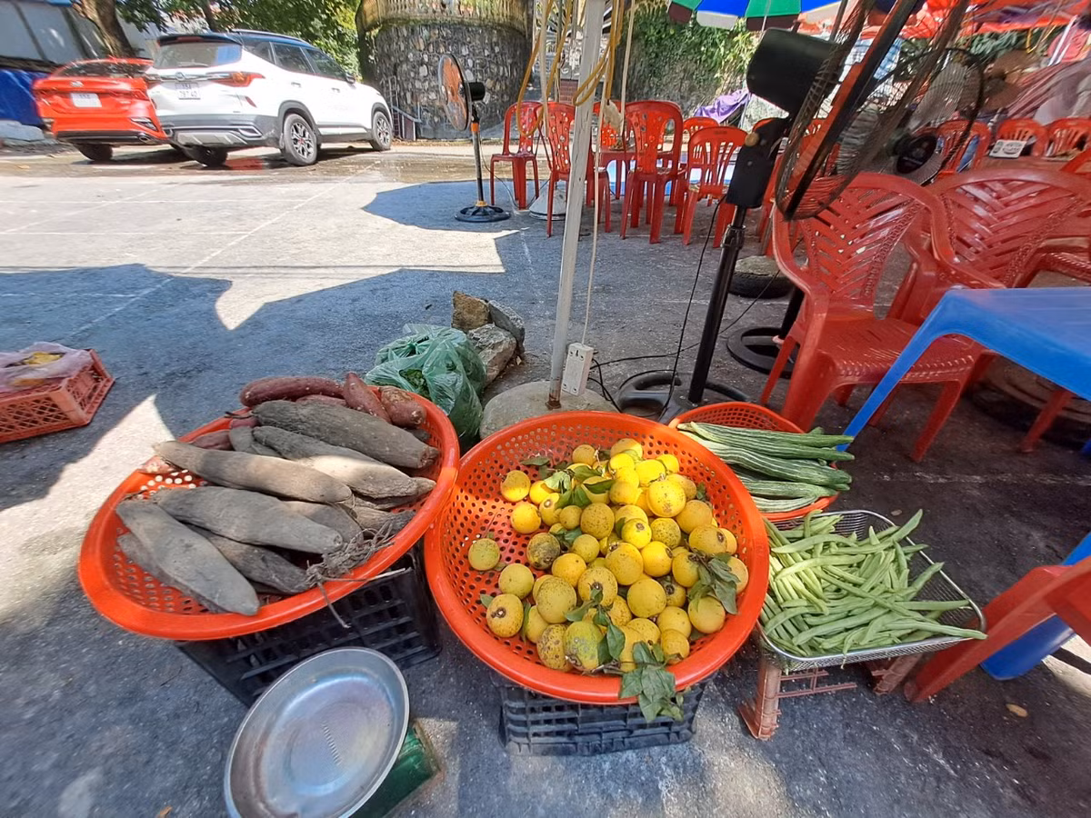 Dep nao long rang thi tram tuoi mua qua chin o Do Son-Hinh-13