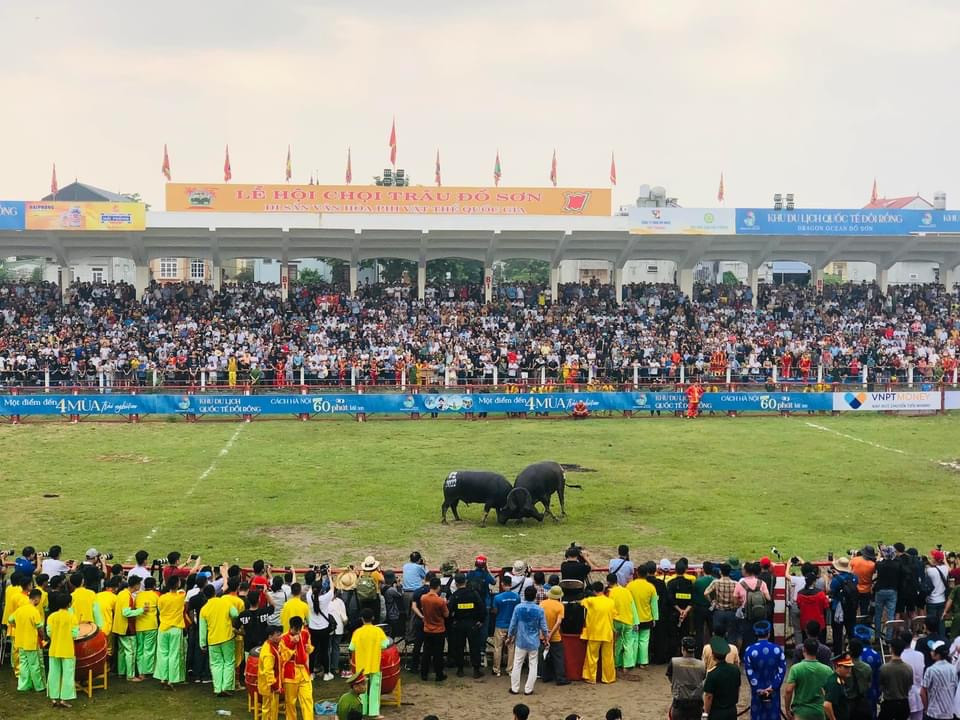 Trâu giành giải nhất sẽ nhận số tiền thưởng 70 triệu đồng, giải nhì nhận 40 triệu đồng, hai đồng giải ba nhận 20 triệu đồng/giải.