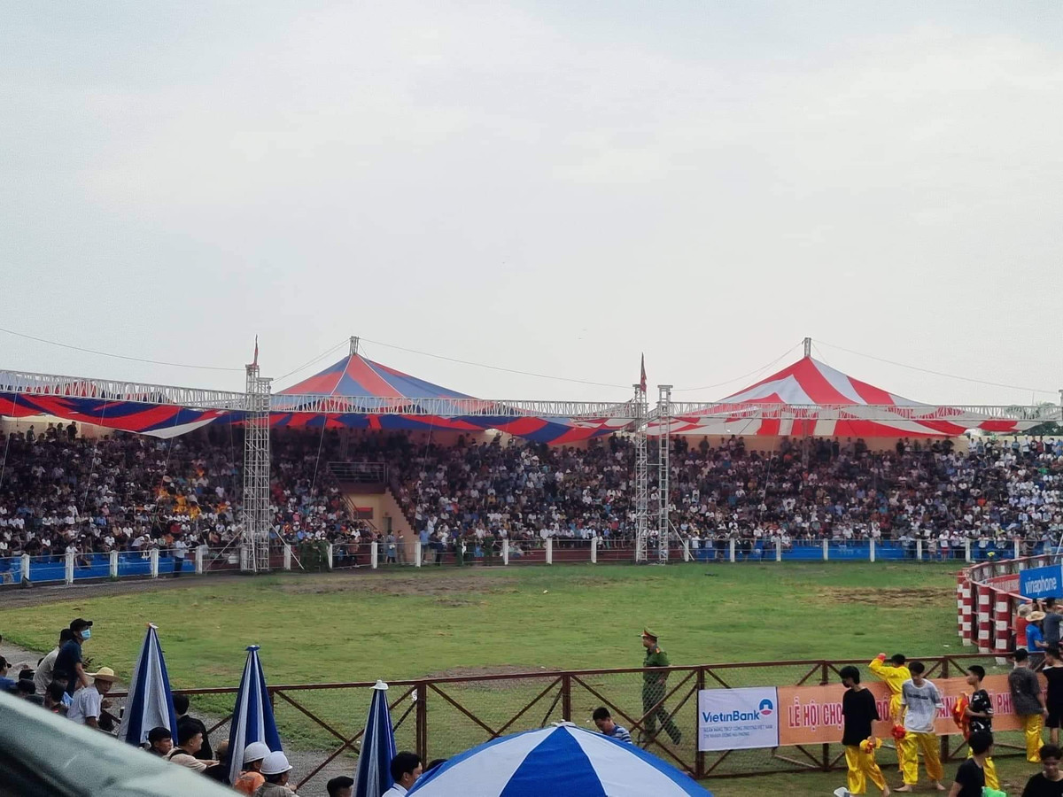 Để đảm bảo ANTT, đặc biệt là ngăn chặn các hành vi cá độ liên quan đến các trận đấu, Ban tổ chức lễ hội đã huy động khoảng 400 nhân viên an ninh, kiểm soát chặt chẽ khán giả vào sân.