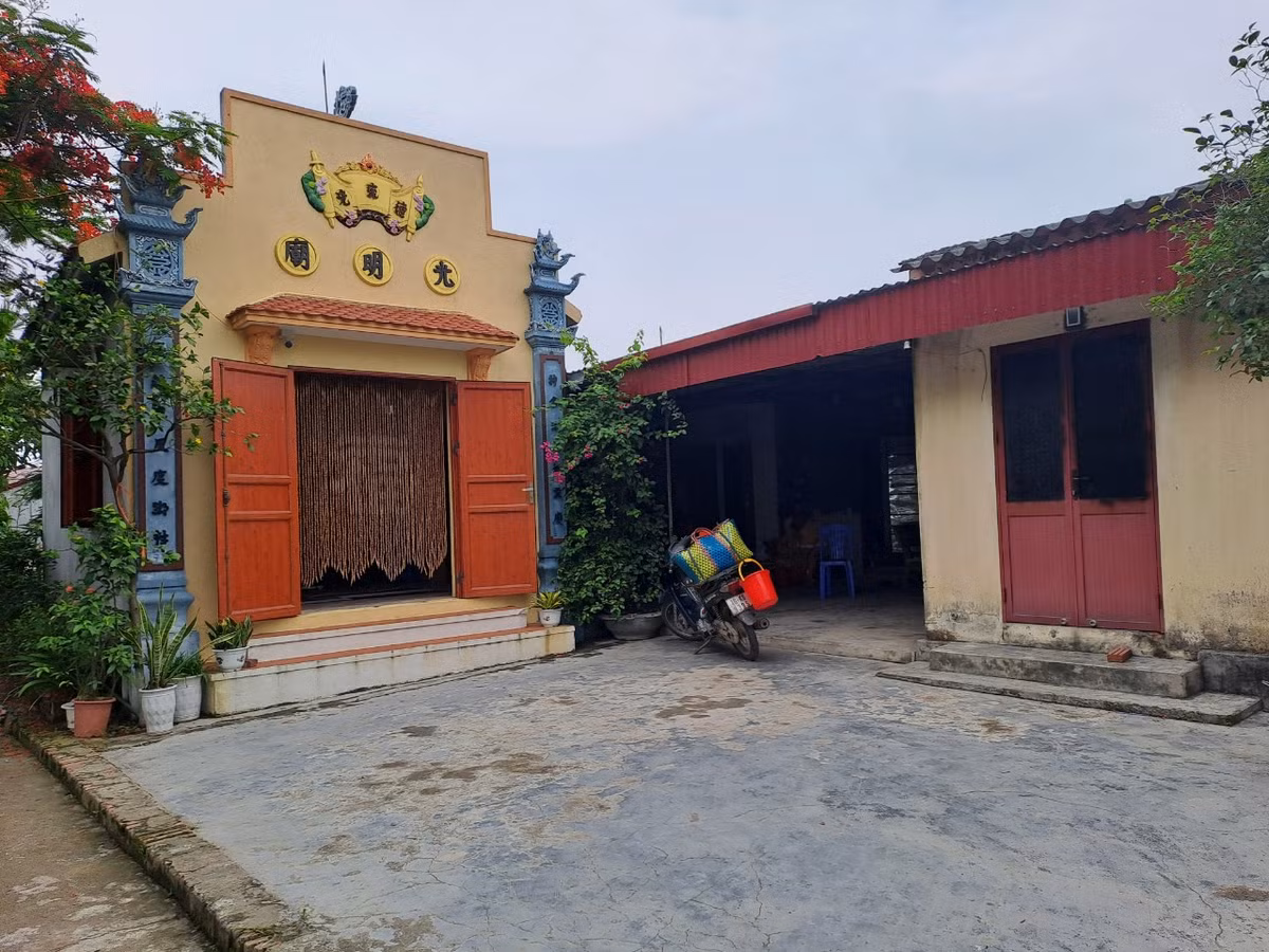 Di tim loi giai ngoi mieu o Hai Phong cu xay len la bi set danh-Hinh-2