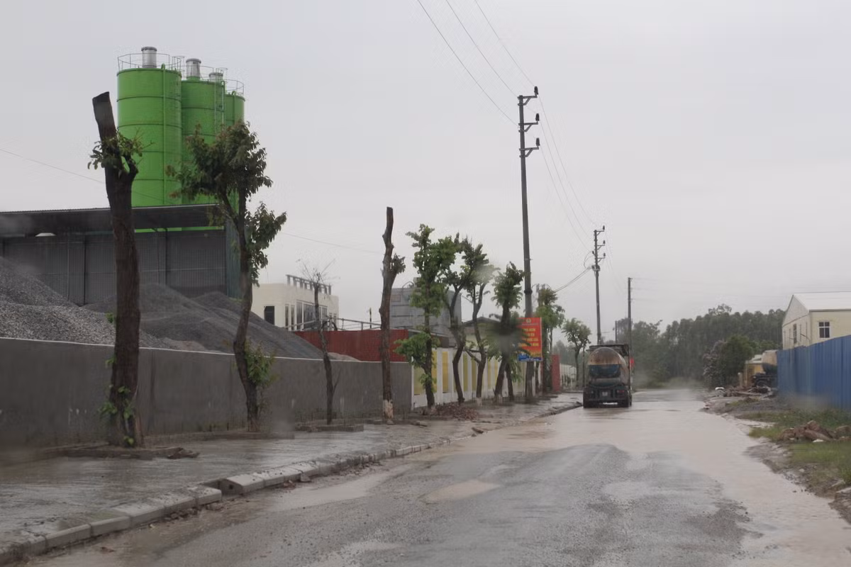 Bac Giang: Global Food ngang nhien xay dung trai phep tram tron be tong?-Hinh-5