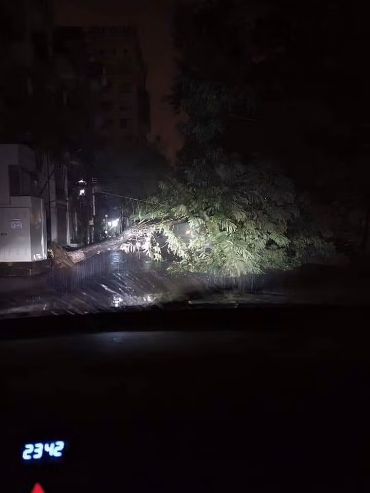 Hai Phong ngap sau trong bien nuoc-Hinh-5