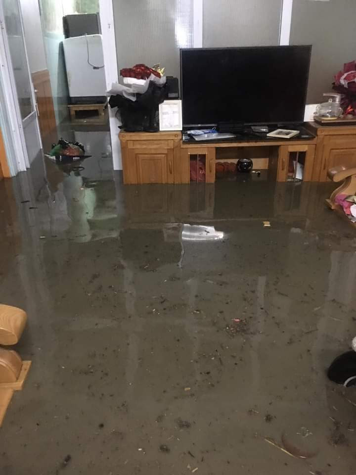 Hai Phong ngap sau trong bien nuoc-Hinh-10