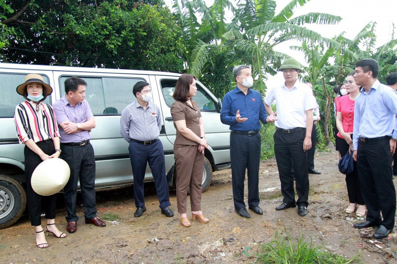 Hai Phong: Cong khai duong day nong phan anh ve o nhiem moi truong