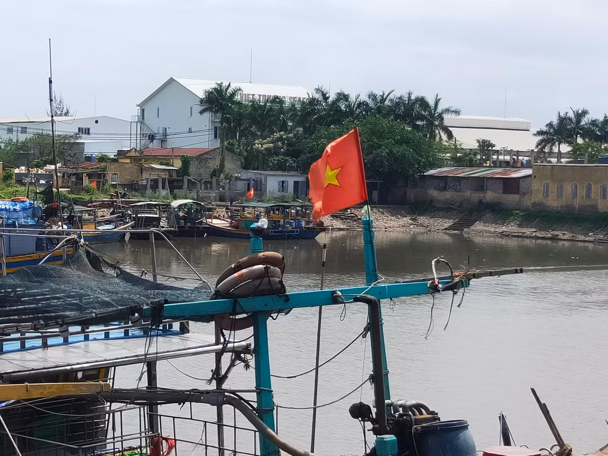 Hai Phong: Dan buc xuc vi Cong ty Viet Truong gay o nhiem-Hinh-3