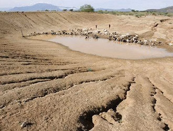 Trong thời gian từ năm 1981 - 1984, châu Phi đã phải đương đầu với tình trạng hạn hán nghiêm trọng. 20 quốc gia bị ảnh hưởng, hơn 20.000 người đã chết vì đói, thiếu nước.