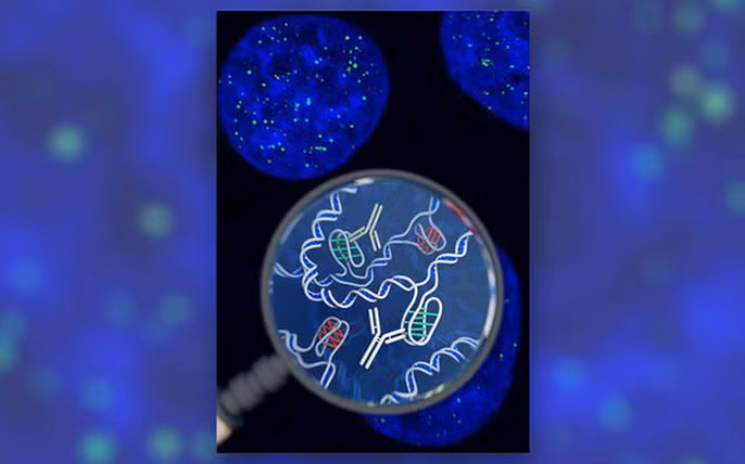 5. Sự sống kỳ dị: DNA biến hình: Sự sống trên trái đất vẫn là một điều mà khoa học chưa thể hiểu rõ hoàn toàn. Nghiên cứu công bố trên tạp chí khoa học Nature Chemistry phát hiện ra một cấu trúc DNA kỳ dị "i-motif", trông như một nút bốn sợi và có thể biến hình, chứ không phải dạng xoắn kép thông thường. DNA biến hình này hiện diện cả trong… con người chúng ta.