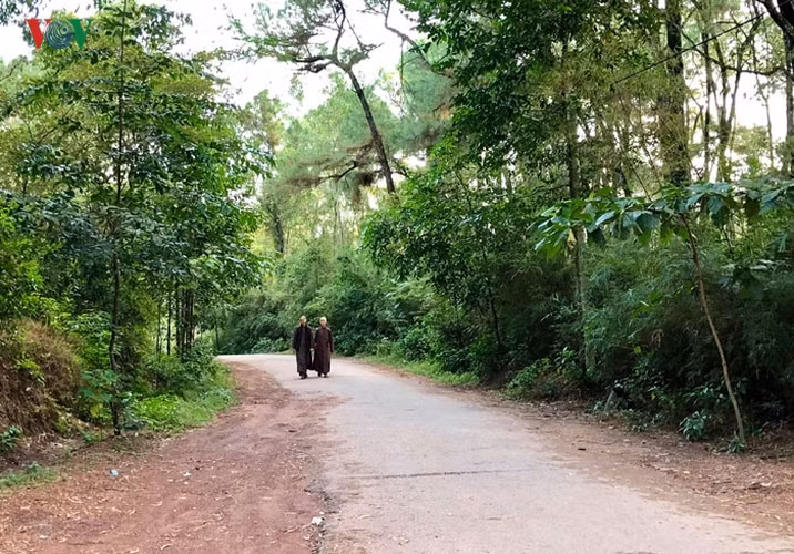 Chùa là nơi thiền sư Thích Nhất Hạnh khởi tâm đi tu và sau nhiều năm tu tập và giảng đạo ở nước ngoài, hiện thiền sư đã trở về và an dưỡng tại nơi đây.