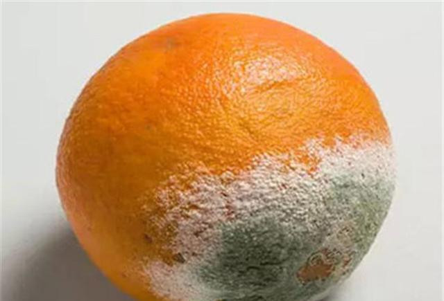 Giat minh loai thuc pham de sinh chat gay ung thu