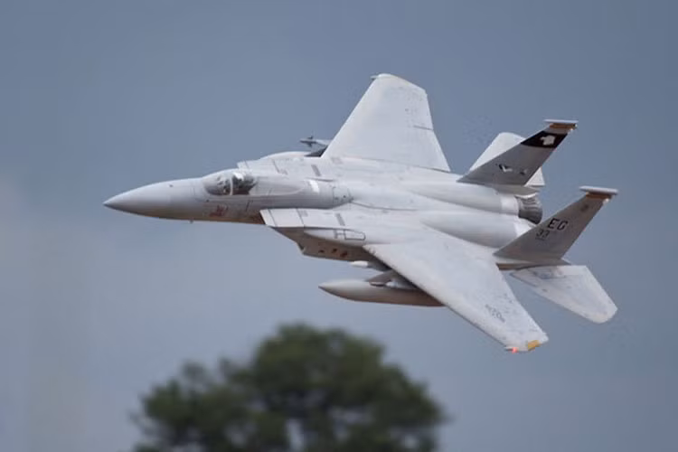 Radar của F-15 có tầm trinh sát khoảng 160 km ở trên không, hơn 300 km với mục tiêu cỡ tàu khu trục. (Ảnh: sussex-model-centre)