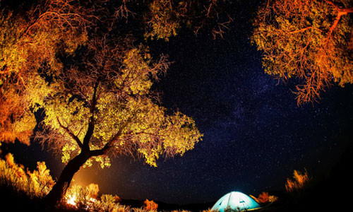 Kinh ngac “doi cat biet hat” khien gioi khoa hoc bo tay-Hinh-3