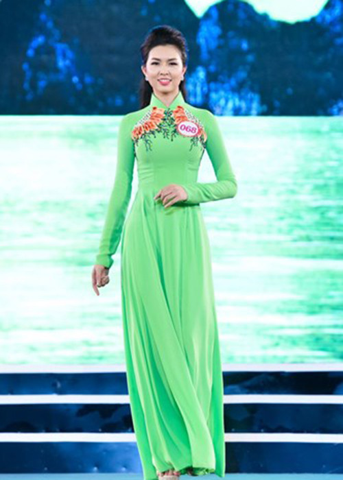 Vũ Thị Vân Anh sinh năm 1993, đến từ Quảng Ninh. Cô đăng quang cuộc thi Người đẹp Hạ Long 2016 và được đặc cách vào vòng chung khảo phía Bắc cuộc thi Hoa hậu Việt Nam 2016. Cô cũng lọt top 18 bước vào chung kết cuộc thi. 