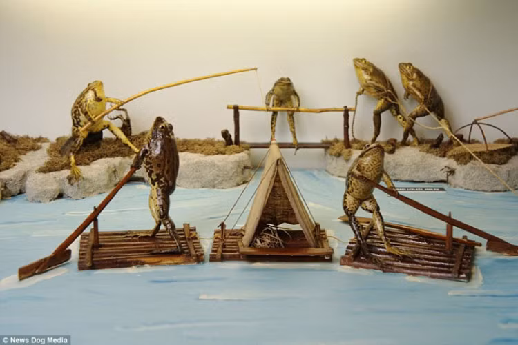 Ghe bao tang ki di xem ech “tan gai”, say xin toi ngay