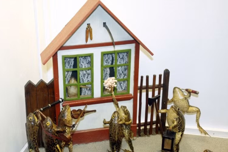 Ghe bao tang ki di xem ech “tan gai”, say xin toi ngay-Hinh-10