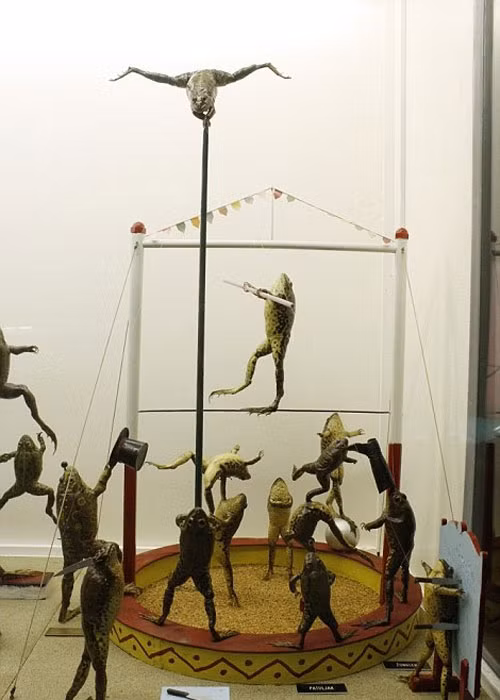 Ghe bao tang ki di xem ech “tan gai”, say xin toi ngay-Hinh-8