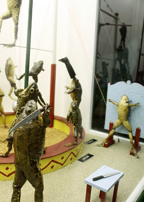 Ghe bao tang ki di xem ech “tan gai”, say xin toi ngay-Hinh-9