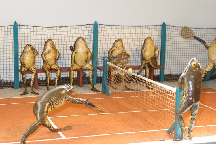 Ghe bao tang ki di xem ech “tan gai”, say xin toi ngay-Hinh-3